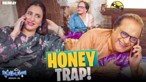 Bulbulay Season 2 | Momo | Ayesha Omar & Nabeel | Comedy Drama